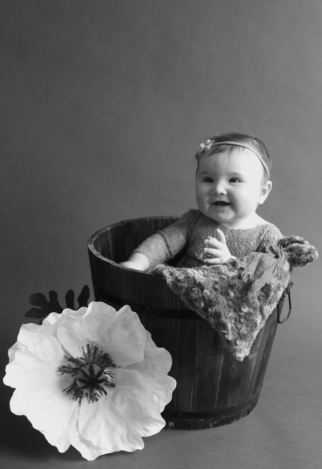 baby photography market drayton shropshire little sitters